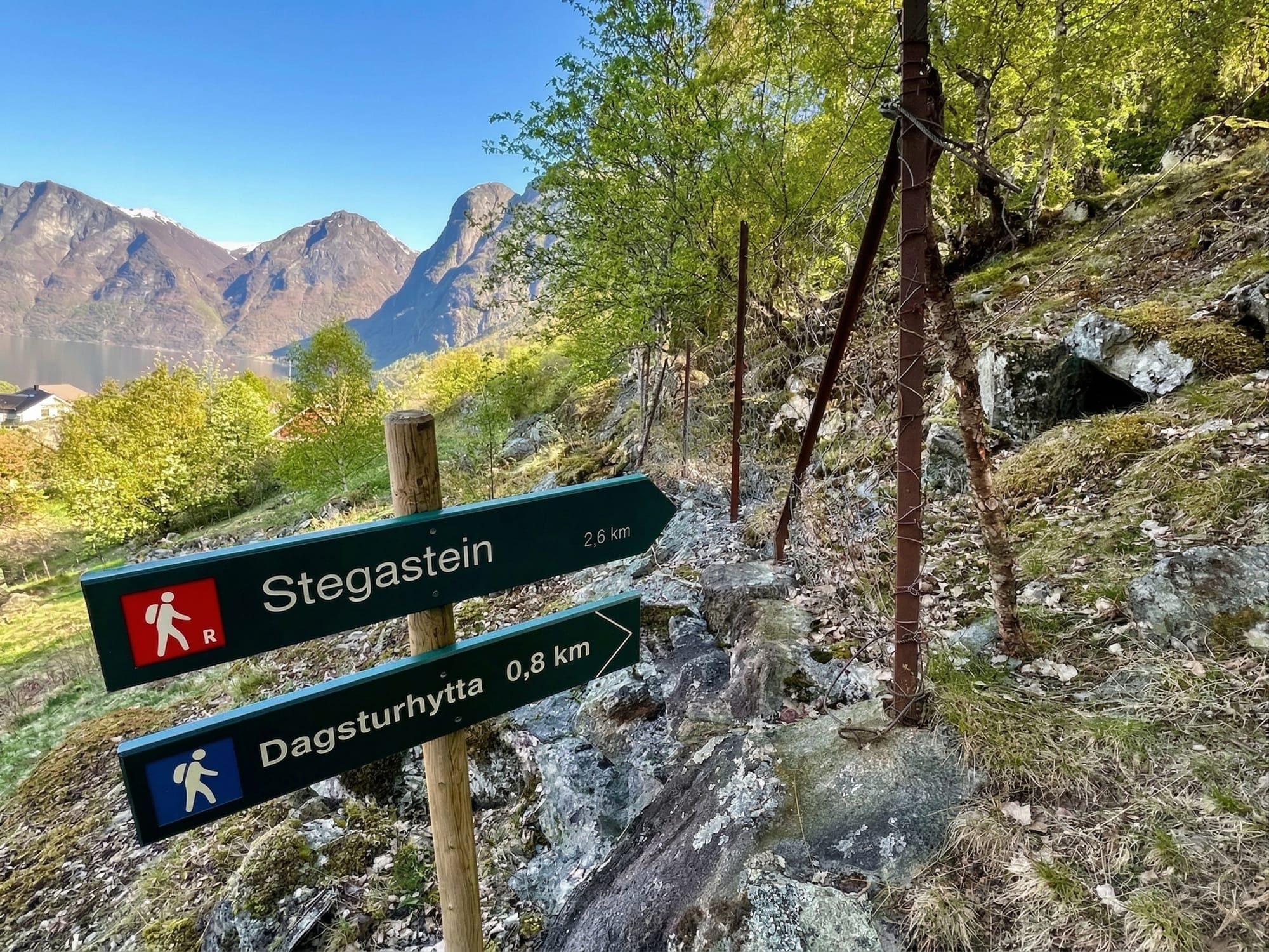 View from the Bjørgavegen approach to Stegastein, the forest road climbing the switchbacks up to the platform